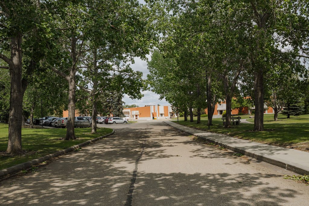 Christmas wreaths hanging on a wall