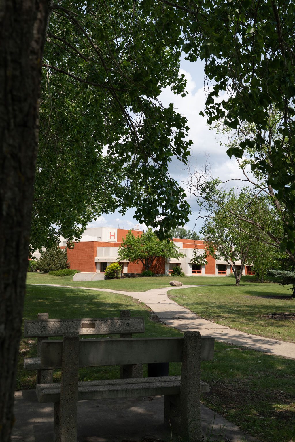 Festival of Trees event space